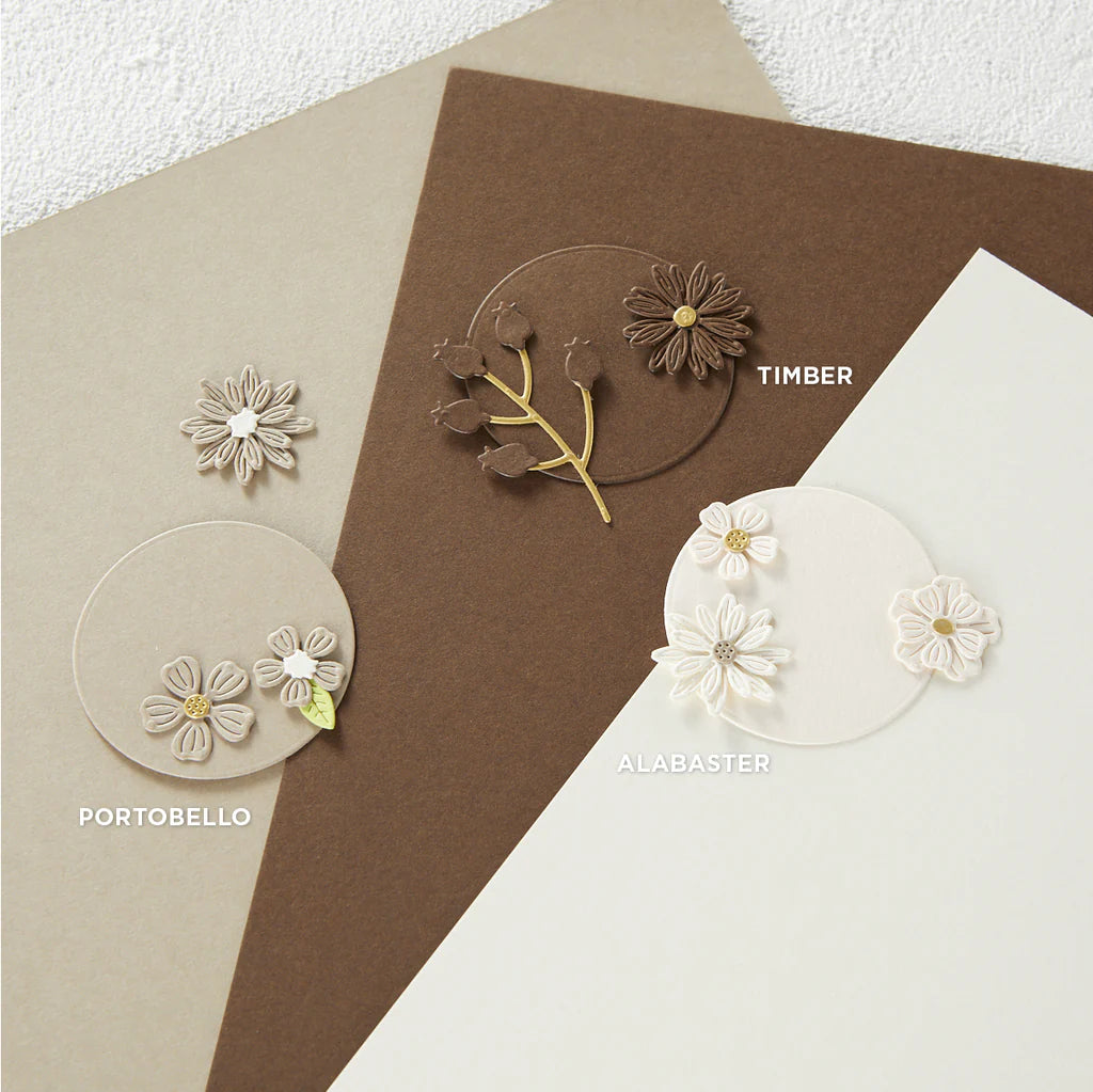 ALABASTER COLOR ESSENTIALS CARDSTOCK 8.5" X 11" - 10 PACK