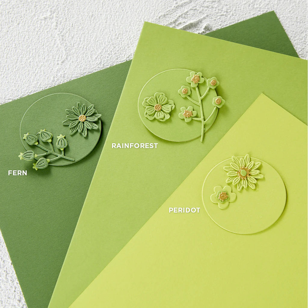 Spellbinders
PERIDOT COLOR ESSENTIALS CARDSTOCK 8.5" X 11" - 10 PACK