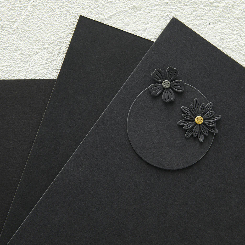 Spellbinders
ONYX COLOR ESSENTIALS CARDSTOCK 8.5" X 11" - 10 PACK