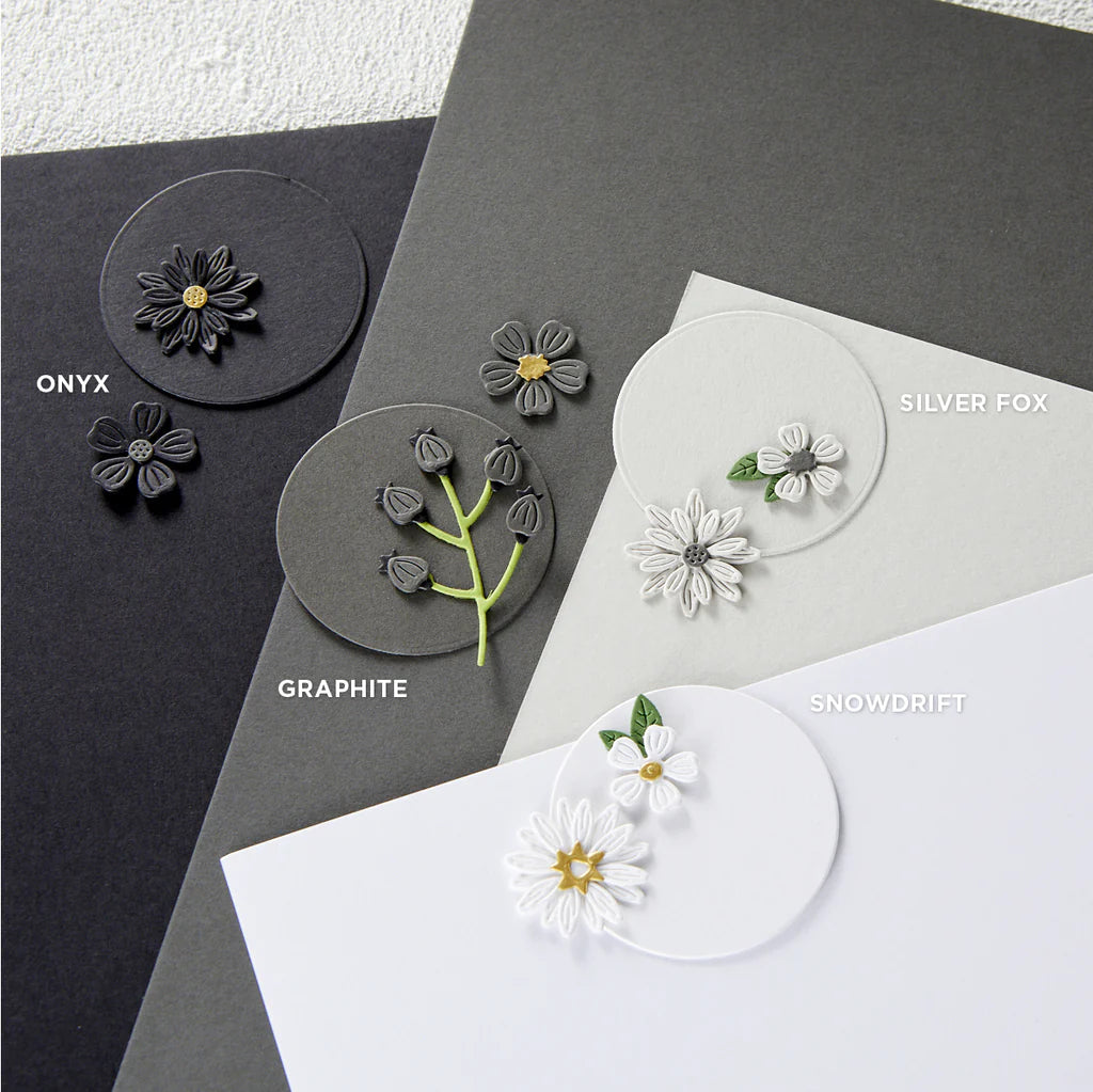 Spellbinders
ONYX COLOR ESSENTIALS CARDSTOCK 8.5" X 11" - 10 PACK